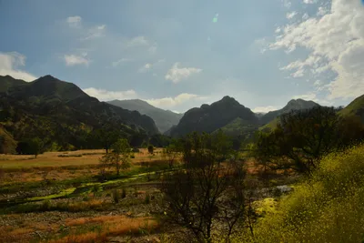 DSC_6395 (Large).JPG